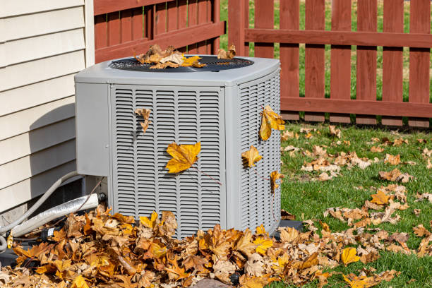 Best HVAC tune-up services  in Litchfield Park, AZ